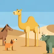 How the Camel Got His Hump