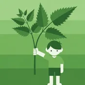 The Boy and the Nettle