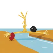 The Straw, the Coal, and the Bean