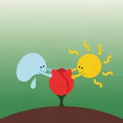 La pequeña rosa rosada