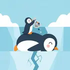 कंकड़ परेड